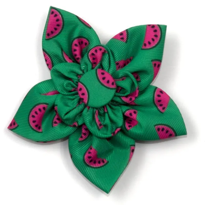 Watermelon Pet Dog Collar Flower Small