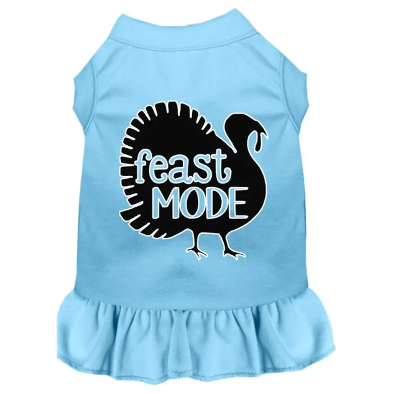 Feast Mode Screen Print Dog Dress Baby Blue