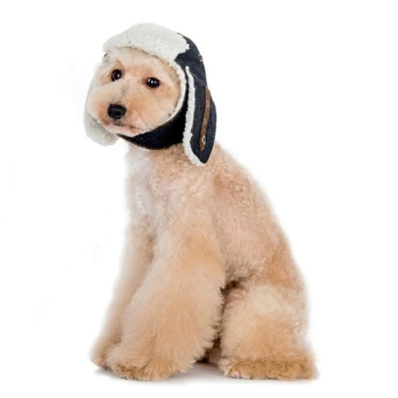 Denim Trapper Pet Dog Hat XS