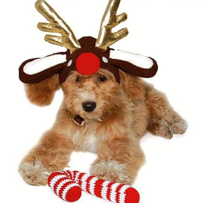 Reindeer Antlers Dog Hat XS