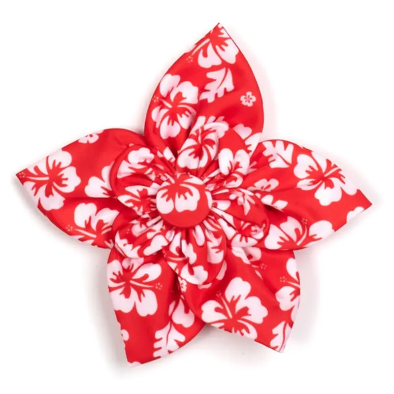 Aloha Coral Pet Dog Collar Flower Small
