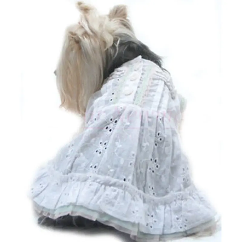Angel in Disguise White Eyelet Sundress Small