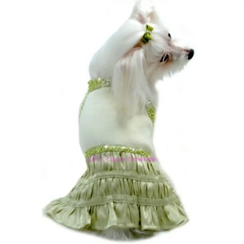 Green With Envy Dog Dress Large