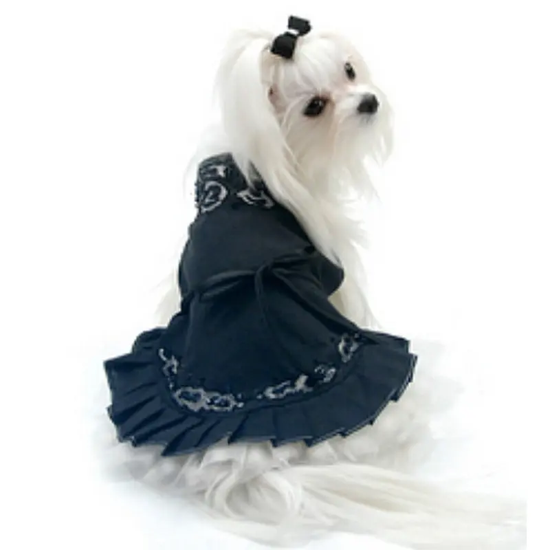 Midnight in Paris Dog Dress Small