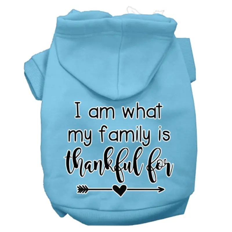 I Am What My Family Is Thankful For Screen Print Dog Hoodie Baby Blue