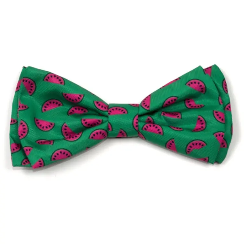 Watermelon Pet Dog Bow Tie Small