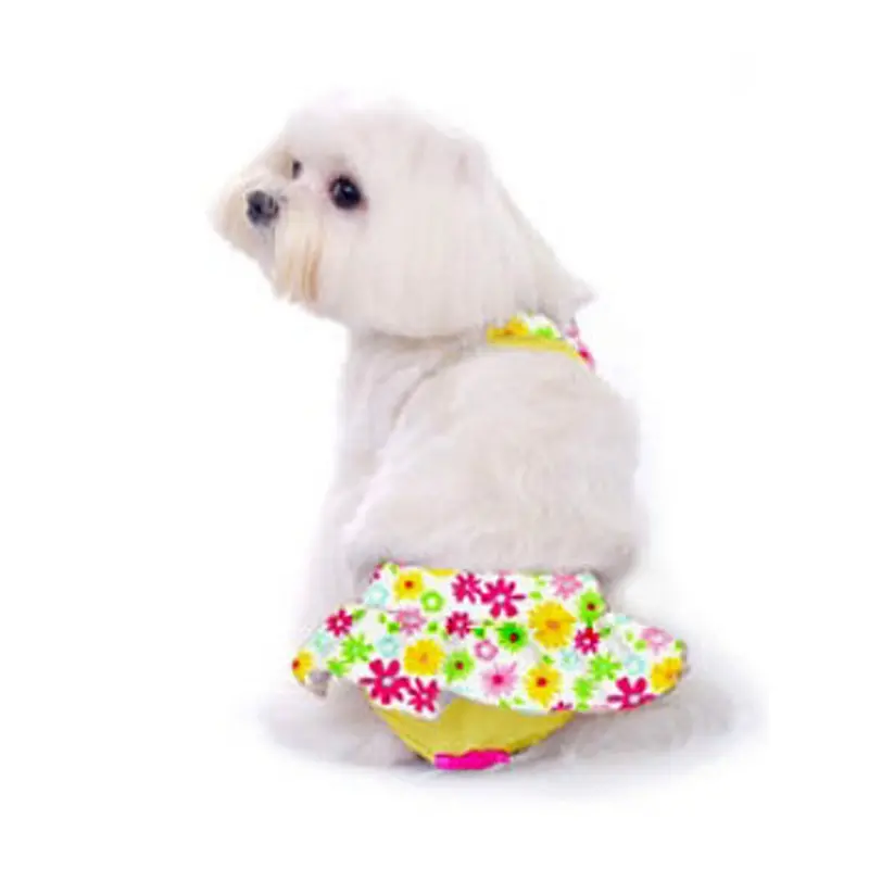 Zuma Dog Bikini XS