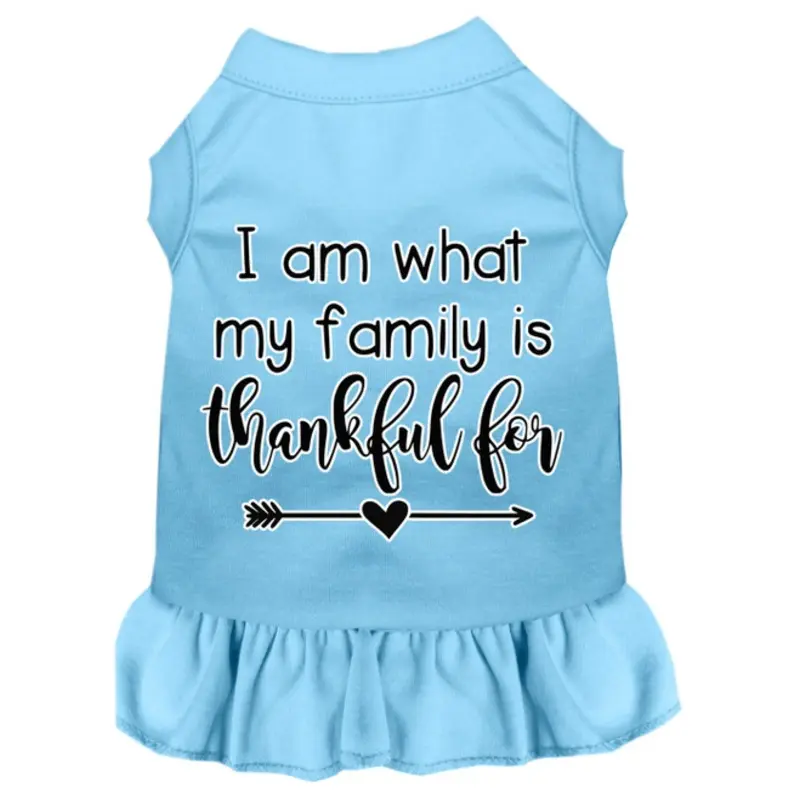 I Am What My Family Is Thankful For Screen Print Dog Dress Baby Blue