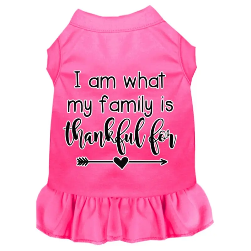 I Am What My Family Is Thankful For Screen Print Dog Dress Bright Pink