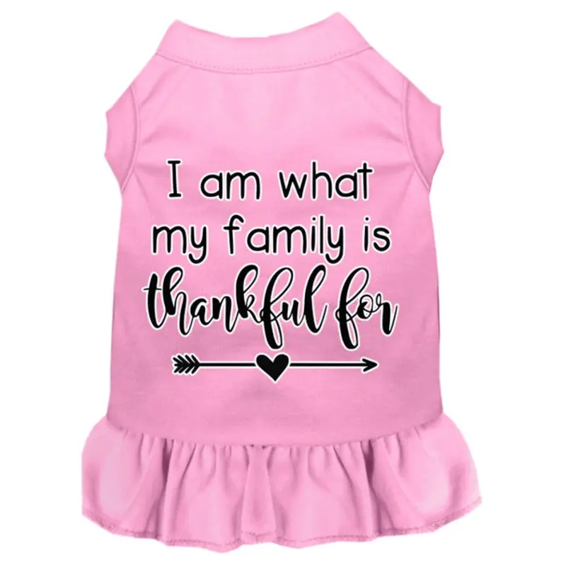I Am What My Family Is Thankful For Screen Print Dog Dress Light Pink