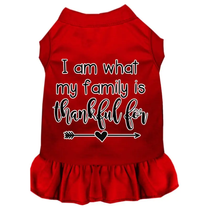 I Am What My Family Is Thankful For Screen Print Dog Dress Red