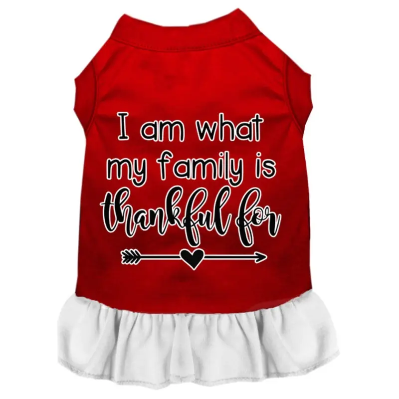 I Am What My Family Is Thankful For Screen Print Dog Dress Red With White
