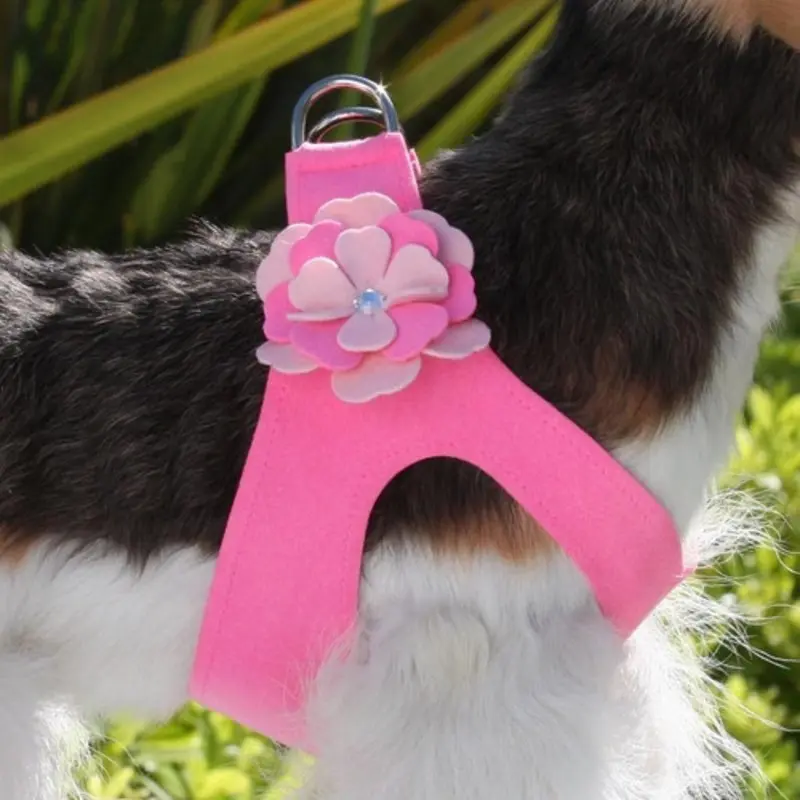 Alexandra Flowers Dog Step In Harness