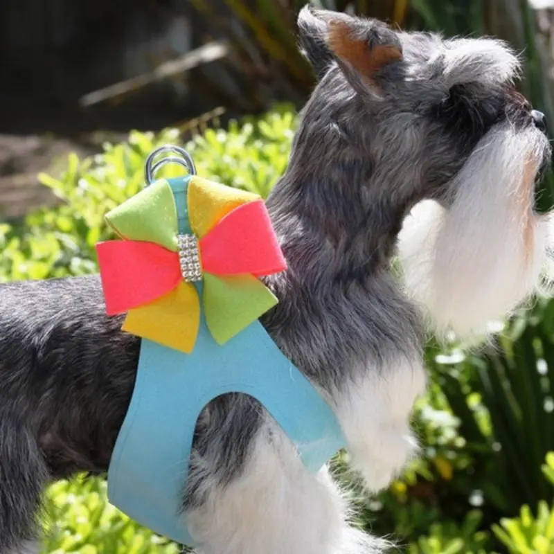 Angela Bow Dog Step In Harness