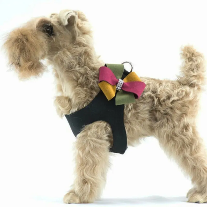 Autumn Bow Dog Step In Harness