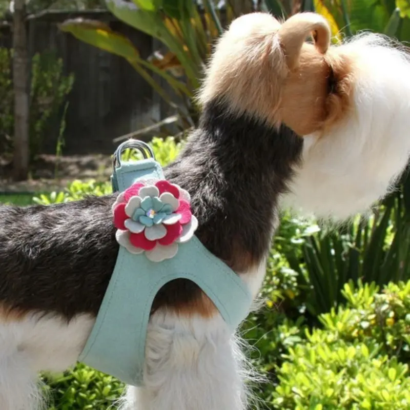 Blossom Flowers Dog Step In Harness