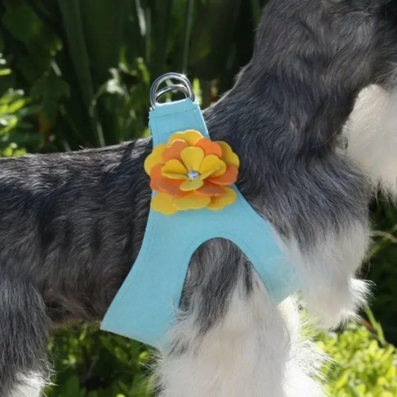 Darla Flowers Dog Step In Harness