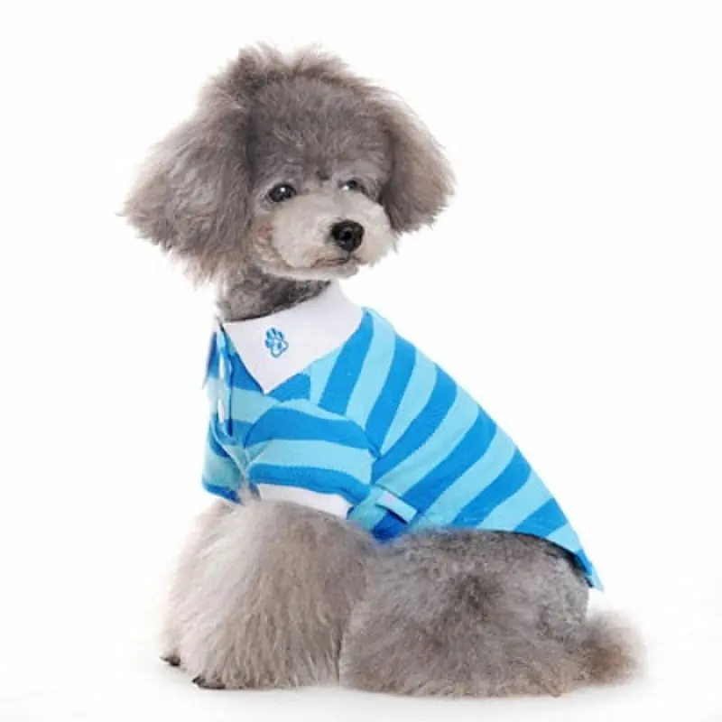 PP Striped Polo Dog Shirt - Blue Large