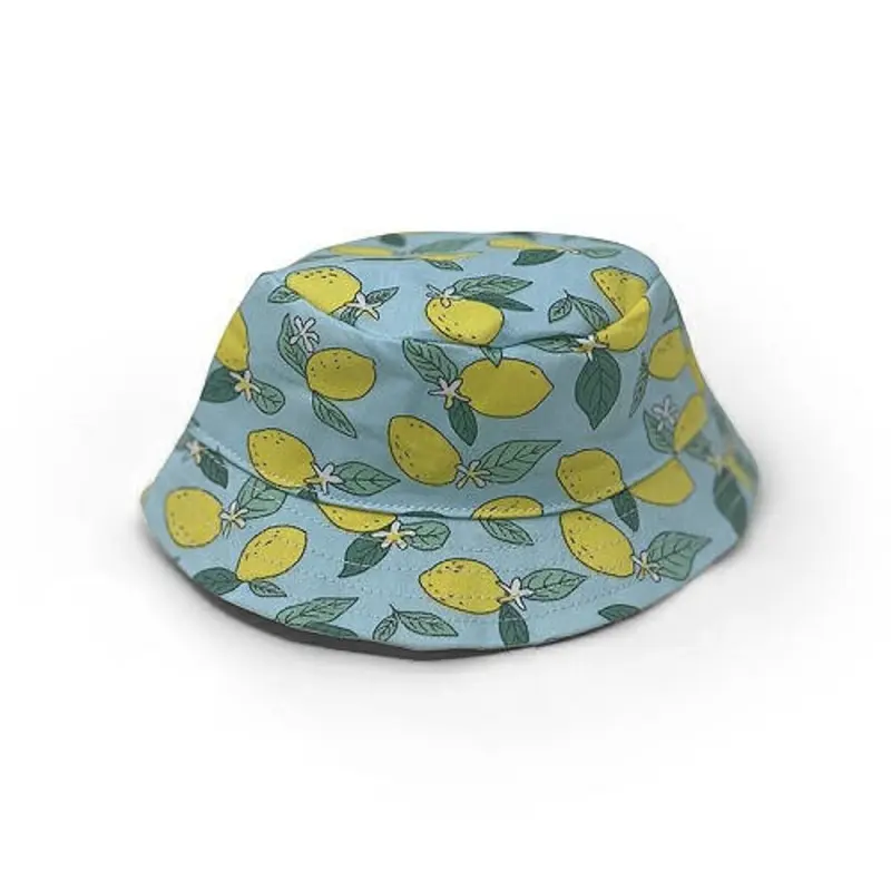 Blue Lemon Bucket Pet Dog Hat XS