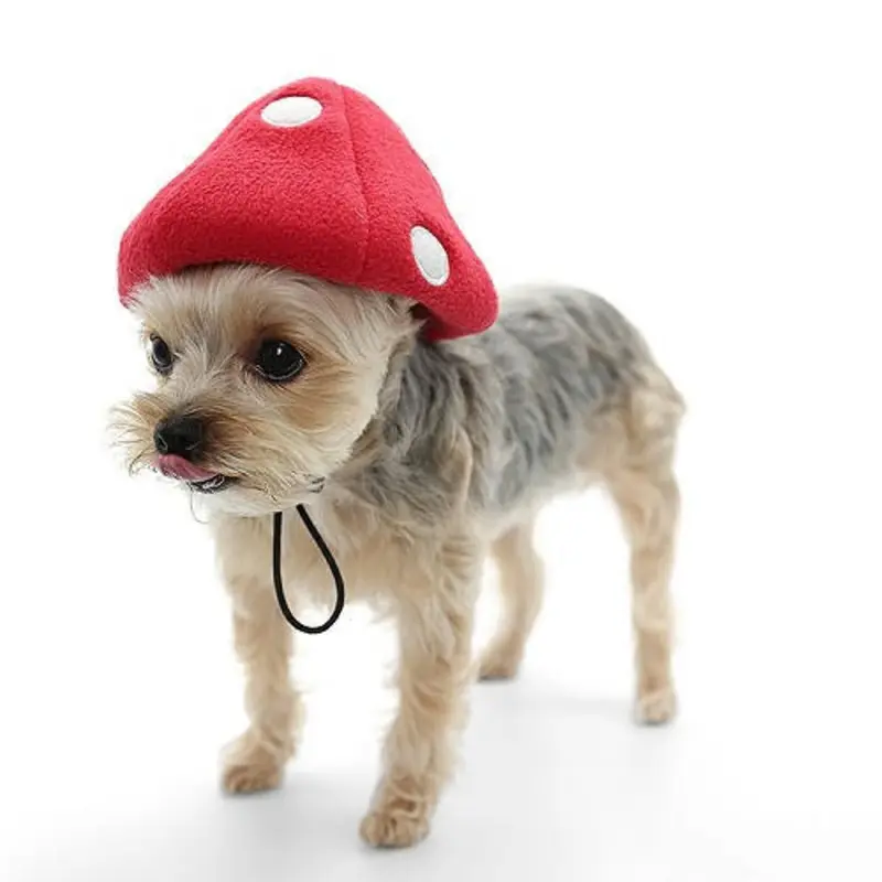 Mushroom Pet Dog Hat XS