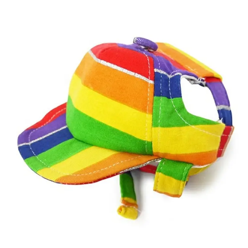 Rainbow Pet Dog Visor / Hat XS