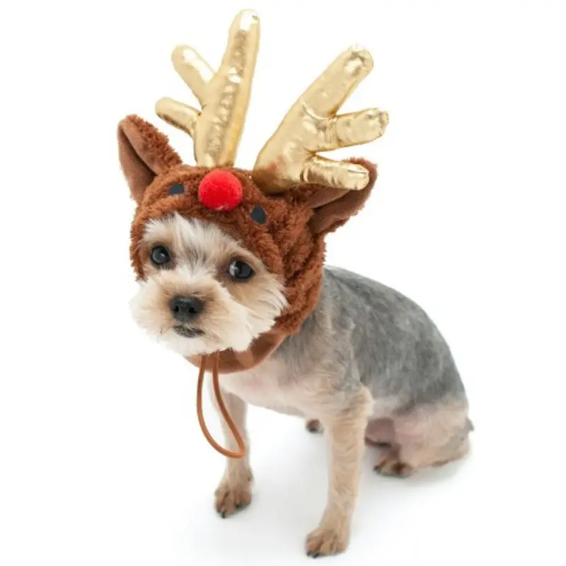 Rudolf Antlers Dog Hat XS