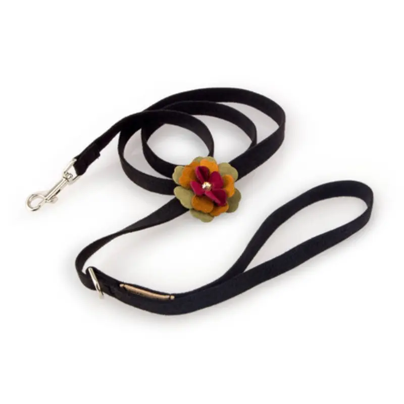 Autumn Flowers Dog Leash - Susan Lanci