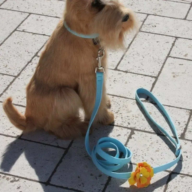 Darla Flowers Dog Leash - Susan Lanci