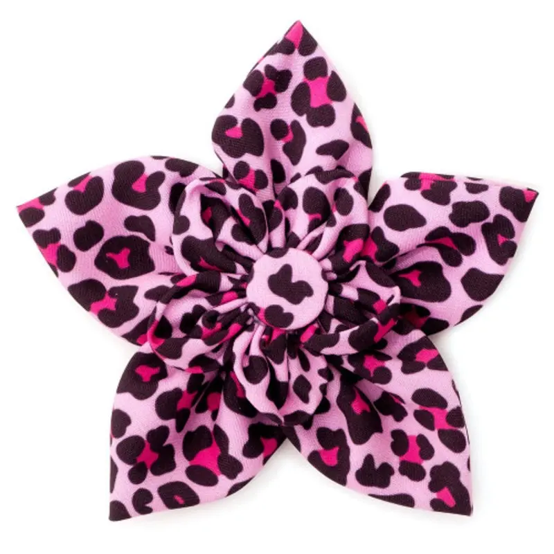 Leopard Pink Pet Dog Collar Flower Small