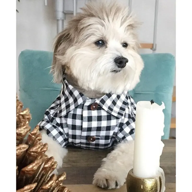 Cotton Classic Black & White Gingham Check Dog Shirt