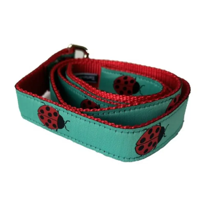 Ladybug Collection Dog Leash Leash 4 Ft x 1, Last One