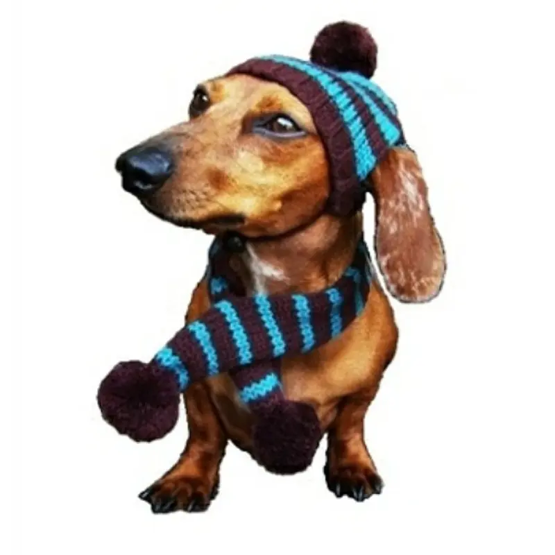 Sassy Knitted Winter Pet Dog Hat & Scarf - Brown & Turquoise Small Set
