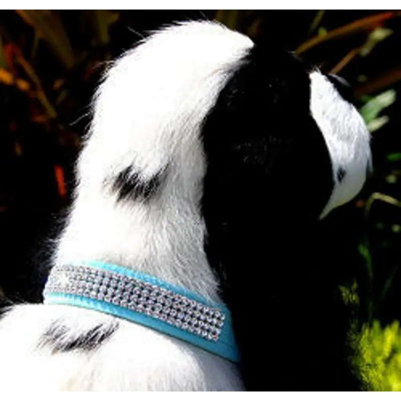 Wide 4 Row Giltmore Dog Collar - Susan Lanci