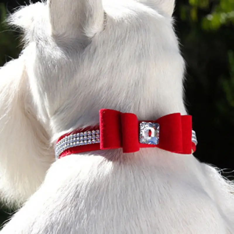 Wide Big Bow 3 Row Giltmore Dog Collar - Susan Lanci