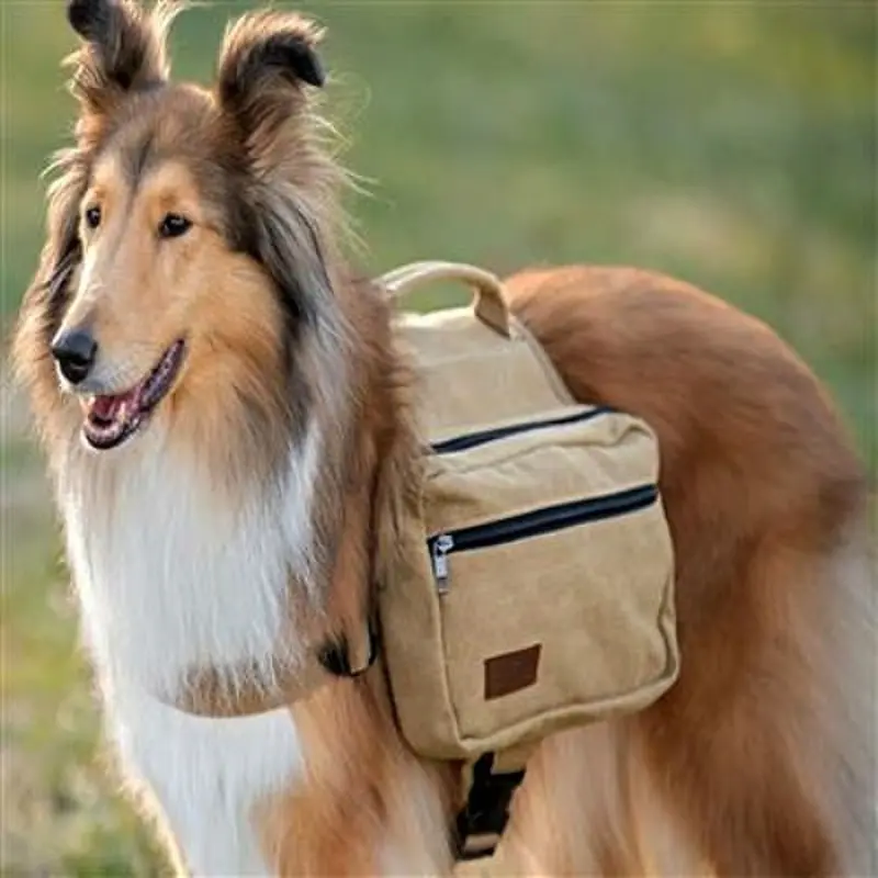 Canvas Saddlebag for Dogs Small