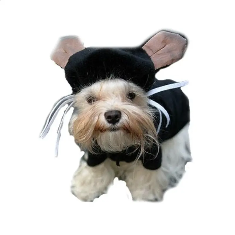 Kitty Kat Dog Costume XXS, LAST ONE