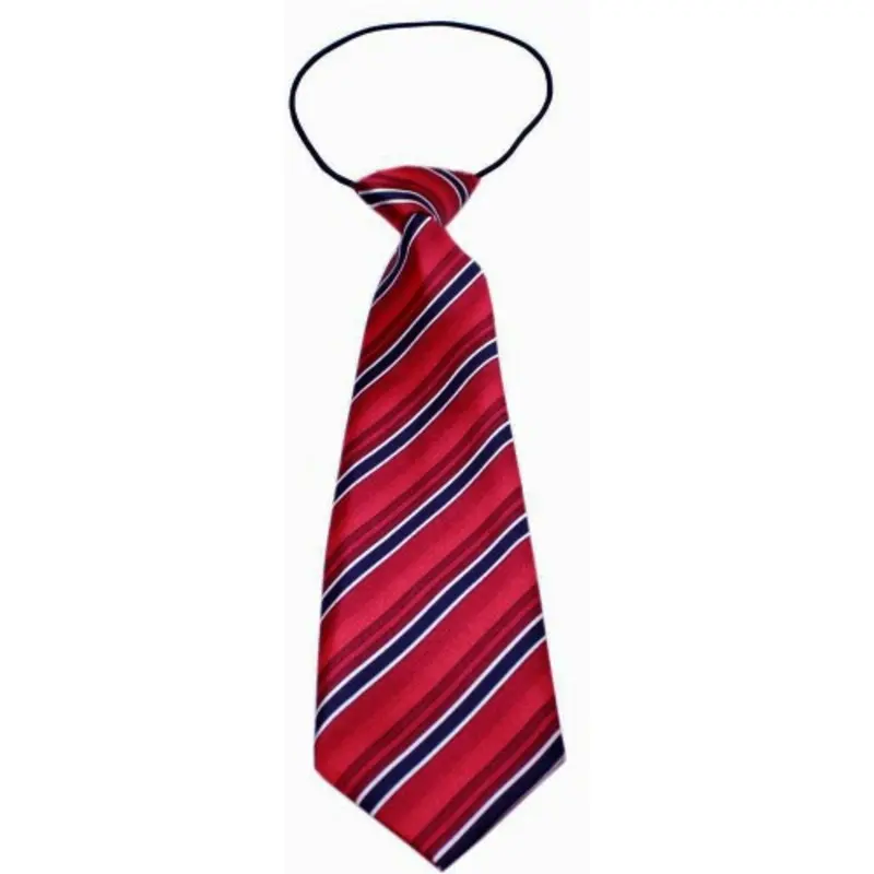 Big Dog Neck Ties - Shades of Red One Size