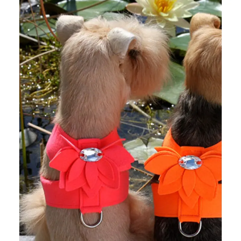 Electric Pink Water Lily Tinkie Dog Harness