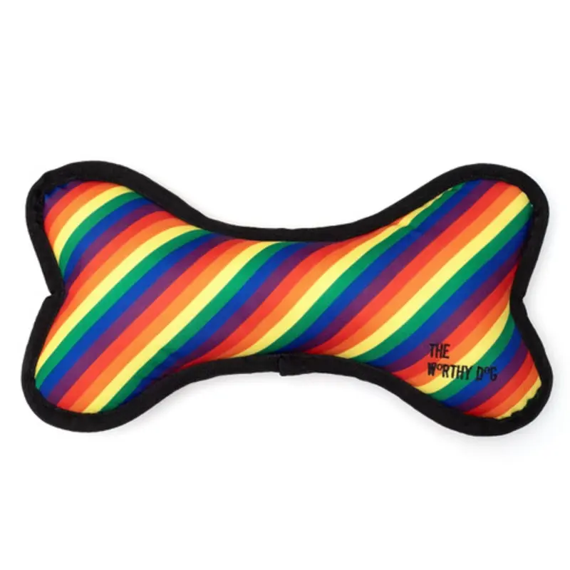 Rainbow Bone Dog Toy - 2 Sizes Small