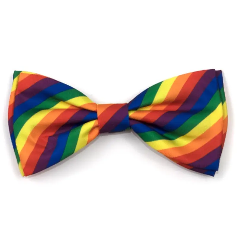 Rainbow Pet Dog Bow Tie Small