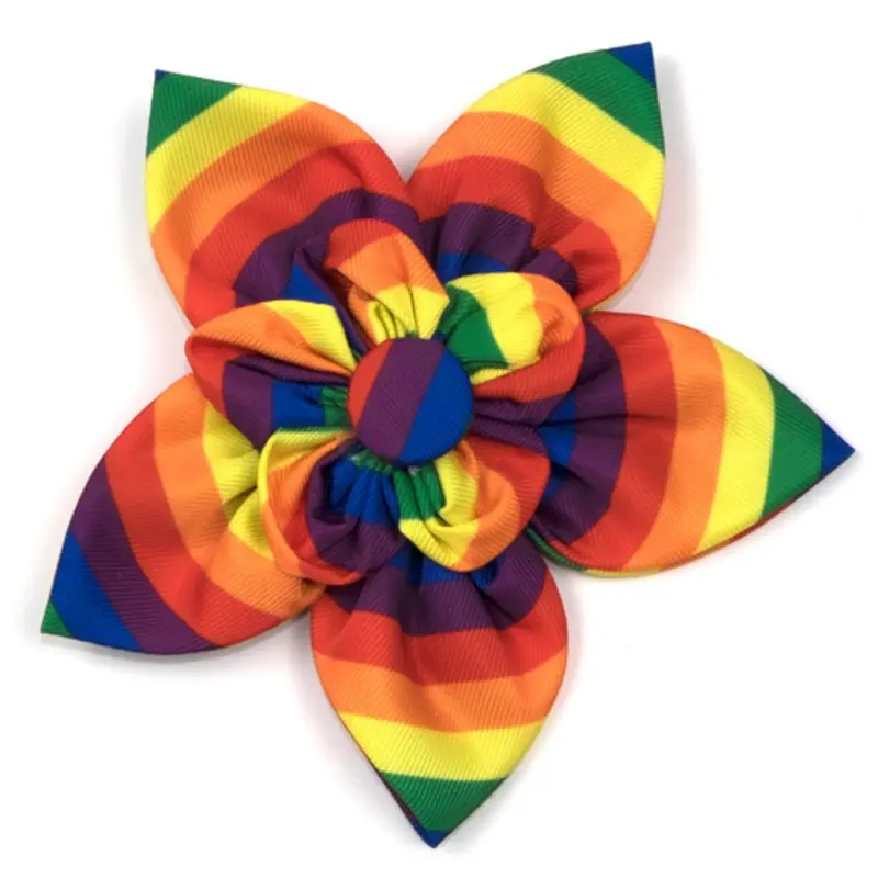 Rainbow Pet Dog Collar Flower Small
