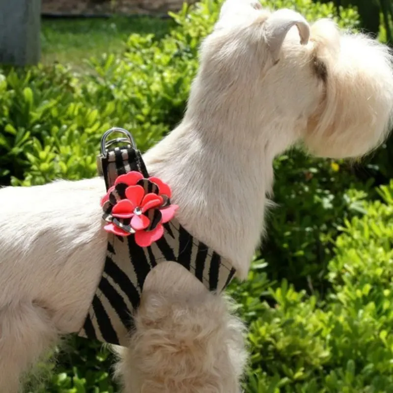 Sarah Flowers Dog Step In Harness