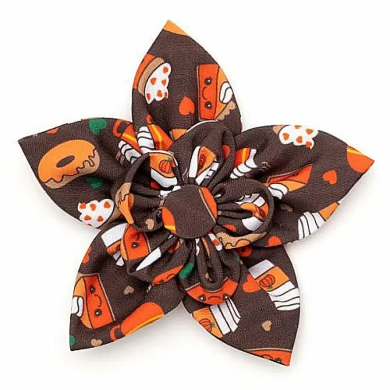 Pumpkin Spice Pet Dog Collar Flower Small