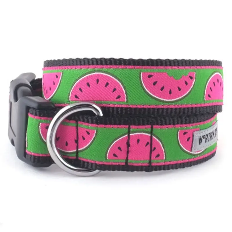 Watermelon Pet Dog Collar & Optional Lead Collection