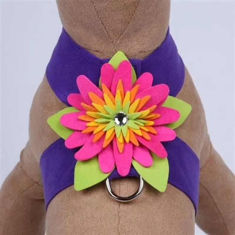 Design Your Own - Island Flower Dog Harness