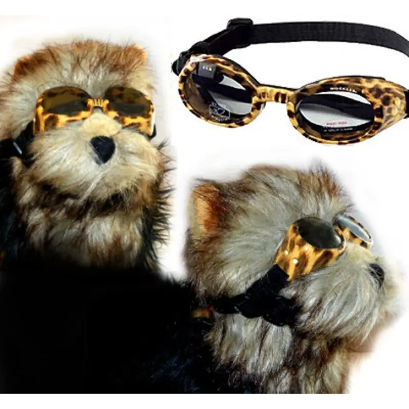Leopard Print Frame ILS Dog Sunglasses XS