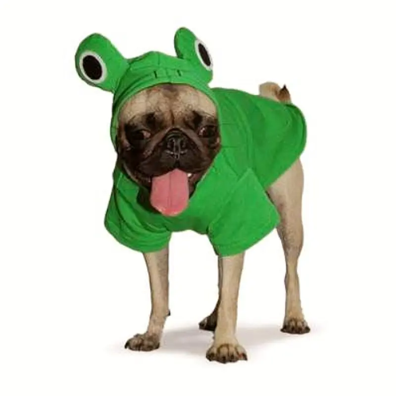 Froggy Dog Sweatshirt / Costume