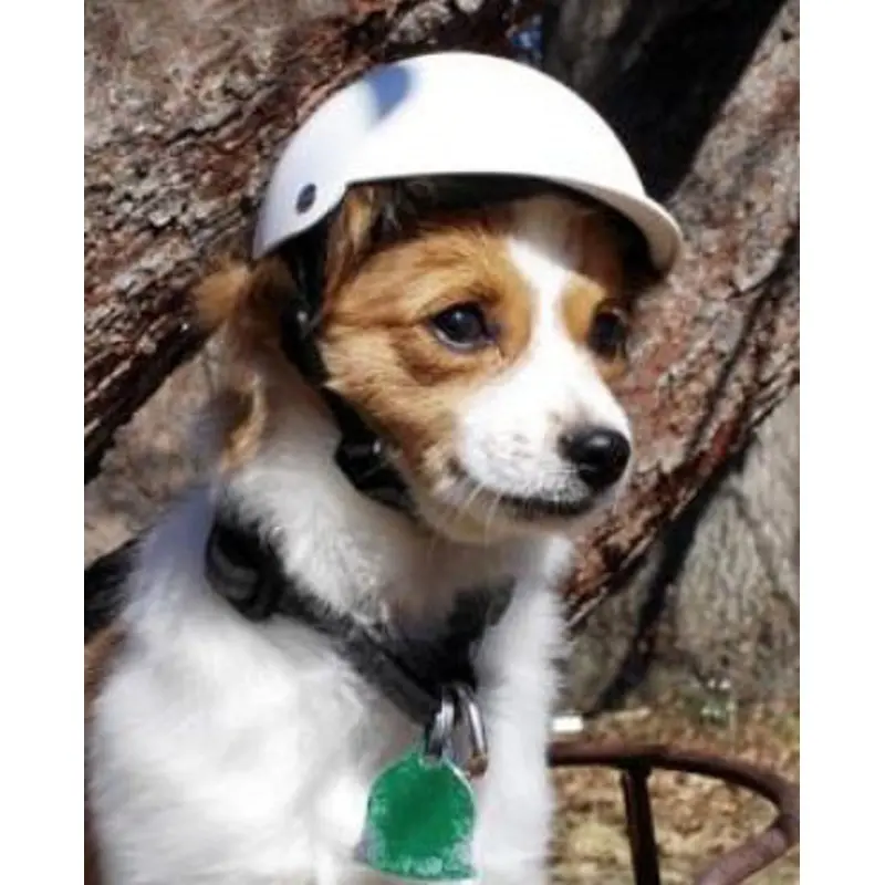 Dog Motorcycle Biker Helmet - Bone White XSmall