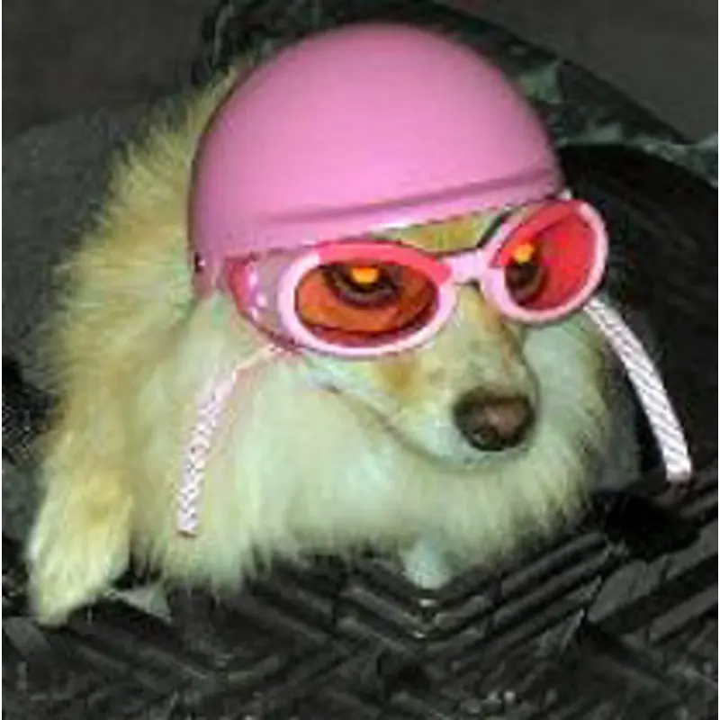 Dog Motorcycle Biker Helmet - Pink XSmall