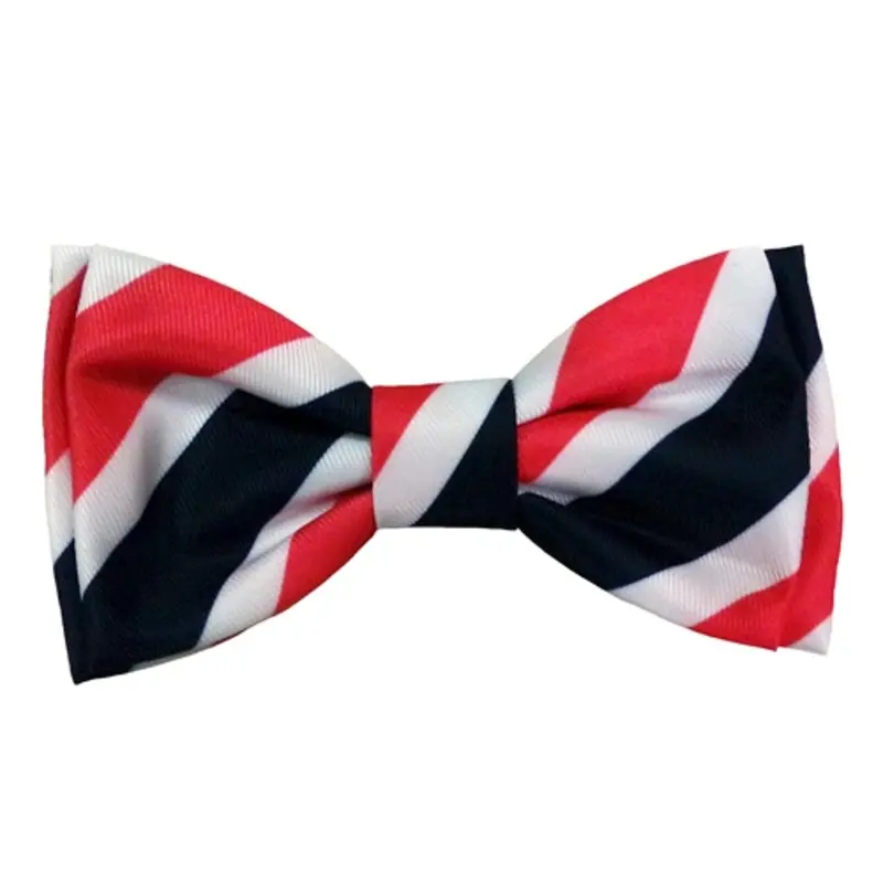 Patriotic Theodore Dog Bow Tie Small